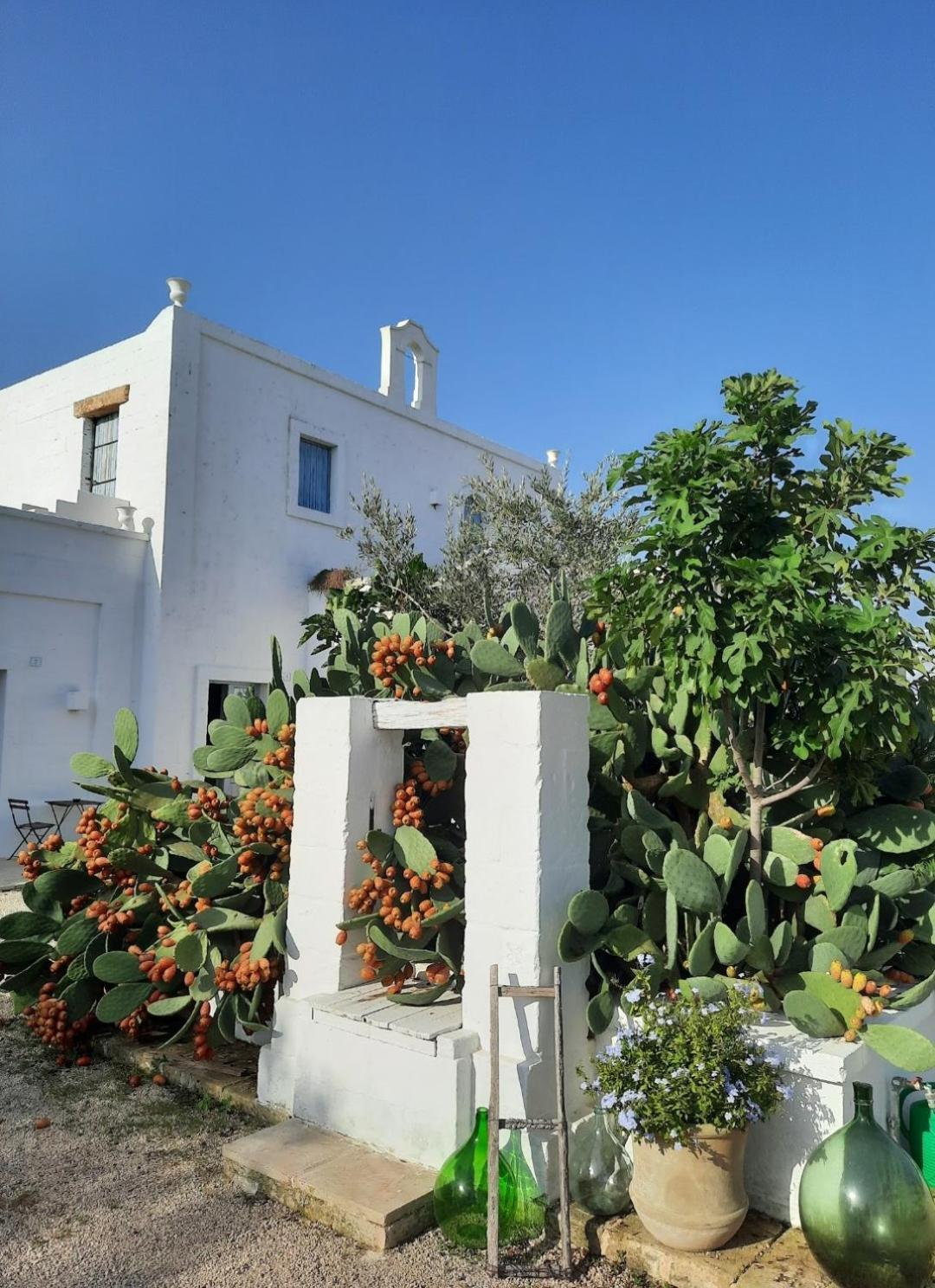 Masseria Fulcignano Villa Galatone Eksteriør bilde